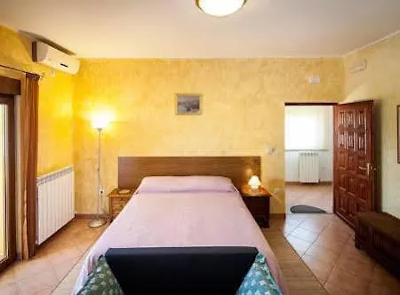 Terranova アパート *