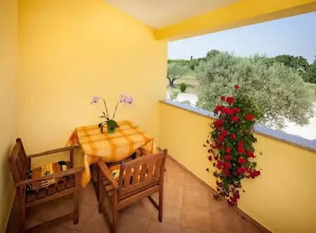 Terranova アパート *